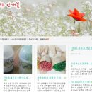 블로그만들기(중급반) 이미지