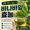 바나바