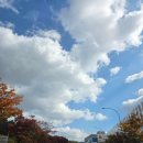 경강로890 이미지