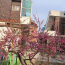 꺽쇠한우 이미지