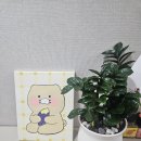 아크릴화 | 수성구성인미술, 모네의화실 아크릴화 내돈내산 솔직후기.