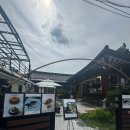 미실 | 경주 카페- 미실 카페(MISIL CAFE)💳내돈내산 카페방문