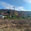 춘원농장 이미지