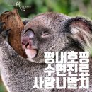 최치과의원 이미지