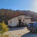 솔향기둥지 이미지