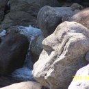 섬진강 펜션 이미지