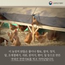 소소농장 이미지