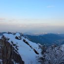 비데랜드(주) 이미지