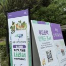 서울국제정원박람회 보라매공원 메타몽가든든 평일 웨이팅 후기, 상세위치 핑