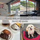 동문고등학교 | 대구 수성구 만촌동 신상 카페 추천 애견동반 가능 휘낭시에 맛집 크로스워크