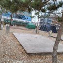 장경리해변 야영장 | 장경리 해변 야영장 리뷰