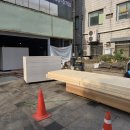 천호365약국 이미지