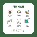 안심요양병원 이미지