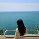 동하축산 | [2024.05] 생일이어서 행복한 효그레의 인턴생활 feat.악성민원썰 (인턴일기)