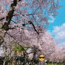 대명성당 이미지