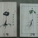 태기산업