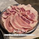 속초 버스터미널 근처 현지인 삼겹살 맛집 고기싸롱