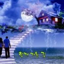 온세상 Daum카페