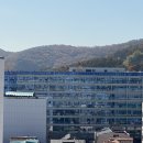 남판교 공인중개사사무소 | [성남 고등동 사무실]판교 반도아이비밸리 전용15평 내부 컨디션 관리비 시세 완벽정리