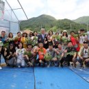 영동관광(주) 이미지