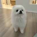 프라산타요가원