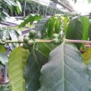 희정농장 이미지