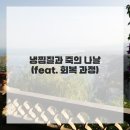 평화치과의원 | 앗, 내 사랑니! 대전치과에서 겪은 생생 후기 &amp; 임플란트까지?