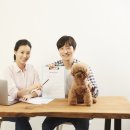 채비뇨기과의원 이미지