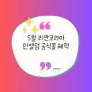 인셀덤코리아 이미지