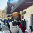 킹덤랜드3 | 서울랜드 애니멀킹덤 2026년 첫공 후기 | 동화의숲 공연포함