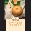 아람채소과일마트