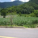 옥수수부동산중개사무소 이미지