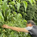 성균농장 이미지