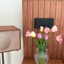 팜팜 | [김해] 튤립체험 플라워팜팜 체험후기