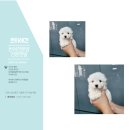 파주켄넬 이미지