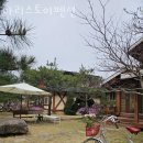 양양펜션 아리스토이펜션 감성숙소
