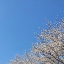 용덕슈퍼 이미지