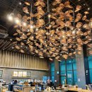 동탄대로시범길R 이미지