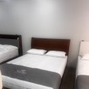 노송가구 | [의왕 가구단지] 부모님 침대 졸업! 노송가구에서 라텍스 침대 구매 후기 (에이스, 베스트슬립 비교)