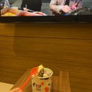 솔호텔 | 전주 가성비 솔호텔 내돈내산후기