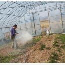 덕재농장 이미지