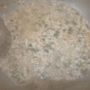 채선당(통진점) 이미지