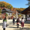 용문사문화원