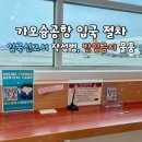쓰리데이즈(유) | 대만 가오슝 입국신고서 작성법(*종이 폐지), 입국 심사 시간, 반입금지 물품(전자담배, 육포, 비비고 등)