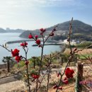 펜션 바다 이미지