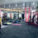 바디나믹 이미지