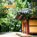 자인계정숲(씨름장) 이미지