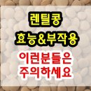 렌틸콩 이미지