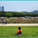 태화강국가정원 이미지