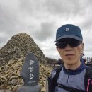 백양산 들꽃.다래등 이미지